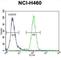 Fucosyltransferase 9 antibody, abx026584, Abbexa, Western Blot image 