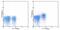 Interleukin 7 Receptor antibody, 17-1271-82, Invitrogen Antibodies, Flow Cytometry image 