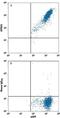 G Protein-Coupled Receptor 26 antibody, MAB8449, R&D Systems, Flow Cytometry image 