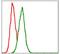 Glutathione S-Transferase Mu 1 antibody, GTX60527, GeneTex, Flow Cytometry image 