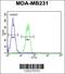 Beta-1,4-Galactosyltransferase 6 antibody, 55-351, ProSci, Flow Cytometry image 