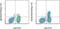 Integrin Subunit Alpha E antibody, 46-1031-82, Invitrogen Antibodies, Flow Cytometry image 