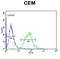 Solute Carrier Family 22 Member 6 antibody, abx034289, Abbexa, Flow Cytometry image 