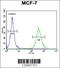 Cytochrome B561 Family Member D1 antibody, 55-585, ProSci, Immunohistochemistry paraffin image 