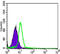 C-Terminal Src Kinase antibody, abx015831, Abbexa, Enzyme Linked Immunosorbent Assay image 