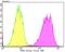 Sorting Nexin 1 antibody, NBP2-75670, Novus Biologicals, Flow Cytometry image 