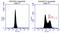 Baculoviral IAP repeat-containing protein 5 antibody, TA400023, Origene, Flow Cytometry image 