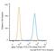 Tubulin antibody, NB100-1639AF647, Novus Biologicals, Flow Cytometry image 