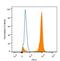 Forkhead Box A1 antibody, NBP2-45354, Novus Biologicals, Flow Cytometry image 