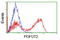 Protein O-Fucosyltransferase 2 antibody, LS-C174073, Lifespan Biosciences, Flow Cytometry image 