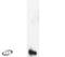 Decorin antibody, PA1-1744, Invitrogen Antibodies, Western Blot image 