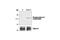 Ephrin B2 antibody, 3481S, Cell Signaling Technology, Western Blot image 