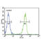 Killer Cell Immunoglobulin Like Receptor, Two Ig Domains And Short Cytoplasmic Tail 2 antibody, abx032610, Abbexa, Flow Cytometry image 