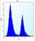 Paternally Expressed 10 antibody, abx026948, Abbexa, Western Blot image 