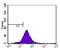 Cyclin-dependent kinase inhibitor 2A, isoforms 1/2/3 antibody, GTX20470, GeneTex, Flow Cytometry image 