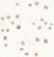 ATP Binding Cassette Subfamily A Member 7 antibody, PA5-34396, Invitrogen Antibodies, Immunocytochemistry image 