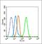 Estrogen Receptor 1 antibody, orb6021, Biorbyt, Flow Cytometry image 