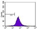 ATP Binding Cassette Subfamily A Member 1 antibody, NB400-105R, Novus Biologicals, Flow Cytometry image 