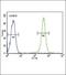 Glucose-6-Phosphate Isomerase antibody, PA5-26787, Invitrogen Antibodies, Flow Cytometry image 