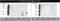 Cytochrome P450 Family 2 Subfamily A Member 6 antibody, TA353124L, Origene, Western Blot image 