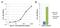 Apolipoprotein A1 antibody, MA5-14667, Invitrogen Antibodies, Enzyme Linked Immunosorbent Assay image 