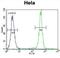 Protocadherin Beta 10 antibody, abx026395, Abbexa, Flow Cytometry image 