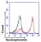 Nucleophosmin 1 antibody, MA3-086, Invitrogen Antibodies, Flow Cytometry image 