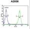 Glutamine-Fructose-6-Phosphate Transaminase 2 antibody, LS-C166448, Lifespan Biosciences, Flow Cytometry image 