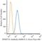 DNA Methyltransferase 3 Alpha antibody, NB100-56521AF488, Novus Biologicals, Flow Cytometry image 