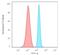 Spectrin Beta, Non-Erythrocytic 2 antibody, GTX02717, GeneTex, Flow Cytometry image 