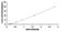 Calpain 10 antibody, MBS2022333, MyBioSource, Enzyme Linked Immunosorbent Assay image 