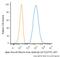 Actin Alpha 2, Smooth Muscle antibody, NBP2-47698APC, Novus Biologicals, Flow Cytometry image 
