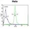 Establishment Of Sister Chromatid Cohesion N-Acetyltransferase 2 antibody, abx025869, Abbexa, Western Blot image 