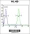 Olfactory Receptor Family 2 Subfamily W Member 3 antibody, 55-741, ProSci, Flow Cytometry image 