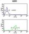 IL-5R-alpha antibody, abx032450, Abbexa, Western Blot image 