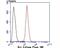 Potassium Voltage-Gated Channel Subfamily A Member 4 antibody, NBP2-75552, Novus Biologicals, Flow Cytometry image 