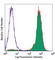 CD45.2 antibody, 109819, BioLegend, Flow Cytometry image 