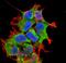 Hypoxia Up-Regulated 1 antibody, NBP2-59345, Novus Biologicals, Immunofluorescence image 