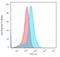 Glypican 3 antibody, GTX34764, GeneTex, Flow Cytometry image 