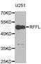 Ring Finger And FYVE Like Domain Containing E3 Ubiquitin Protein Ligase antibody, abx004976, Abbexa, Western Blot image 