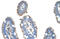Solute Carrier Family 22 Member 1 antibody, ARP41516_T100, Aviva Systems Biology, Immunohistochemistry frozen image 