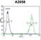 RAB10, Member RAS Oncogene Family antibody, LS-C162354, Lifespan Biosciences, Flow Cytometry image 