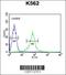 Growth Arrest Specific 2 Like 1 antibody, 55-100, ProSci, Flow Cytometry image 