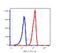 CD59 Molecule (CD59 Blood Group) antibody, FC00914-Biotin, Boster Biological Technology, Flow Cytometry image 