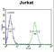 Heterogeneous Nuclear Ribonucleoprotein L antibody, LS-C164966, Lifespan Biosciences, Flow Cytometry image 