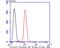 Protein Kinase D2 antibody, NBP2-75629, Novus Biologicals, Flow Cytometry image 