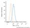 Telomeric Repeat Binding Factor 1 antibody, NB110-68281, Novus Biologicals, Flow Cytometry image 