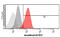 Potassium Channel Tetramerization Domain Containing 15 antibody, GTX57561, GeneTex, Flow Cytometry image 