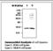 Methionine Sulfoxide Reductase B2 antibody, LS-C62247, Lifespan Biosciences, Western Blot image 