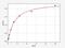 Collagen Type VI Alpha 1 Chain antibody, EH2870, FineTest, Enzyme Linked Immunosorbent Assay image 